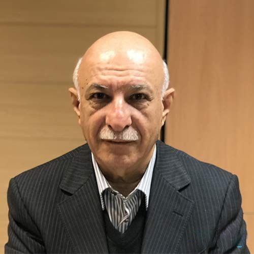 محمود حقیقت